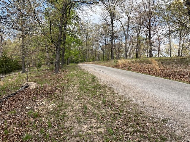 TBD1 Cobbleston Ln, Eureka Springs, AR 72631 - photo 6