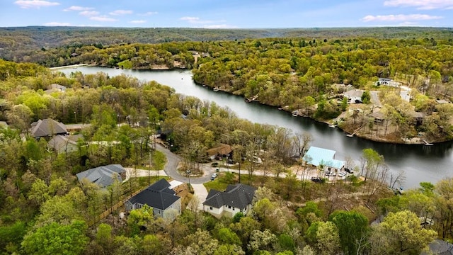 birds eye view of property with a water view and a view of trees