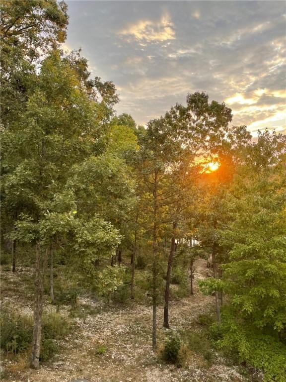nature at dusk featuring a wooded view