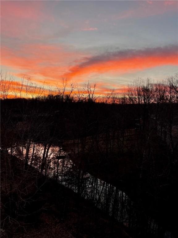 16 Carole Rae Ln, Bella Vista, AR 72714 - view of undeveloped land
