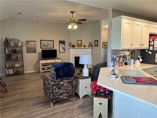 kitchen with ceiling fan, open floor plan, wood finished floors, and a sink