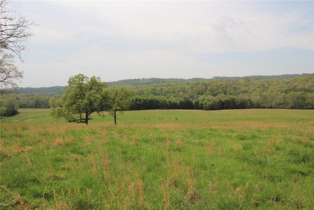 001-04071-000 Mc 4002, Yellville, AR 72687 - photo 12