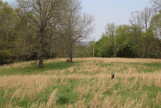 001-04071-000 Mc 4002, Yellville, AR 72687 - photo 13