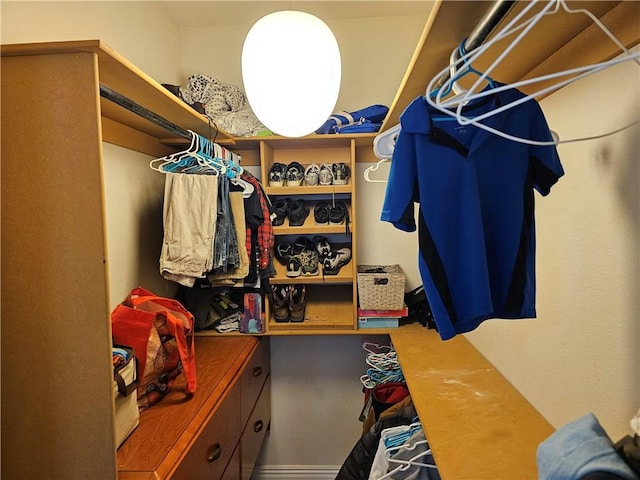 21854 S Floyd Moore Rd, Gentry, AR 72734 - view of walk in closet
