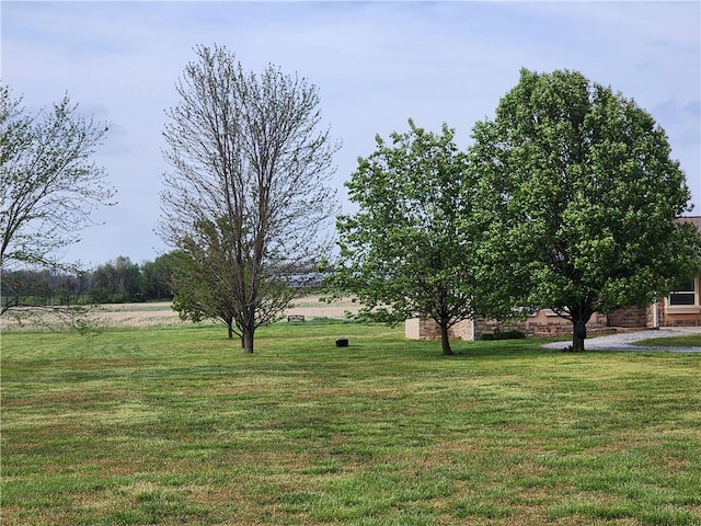 21854 S Floyd Moore Rd, Gentry, AR 72734 - view of green lawn