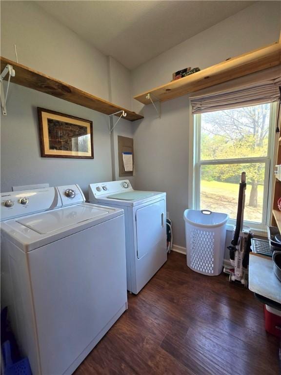 laundry room featuring dark wood-style floors, washing machine and clothes dryer, and laundry area