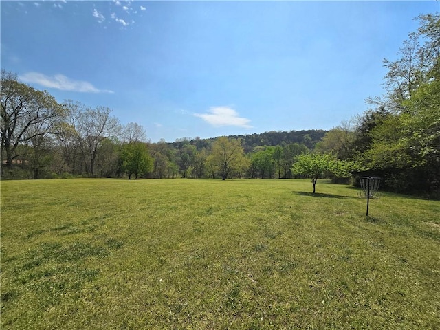view of yard featuring a wooded view