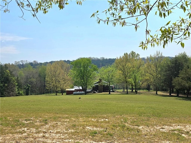 view of community featuring a yard