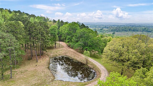907 Smoke Tree Rd, Dover, AR 72837 - photo 50