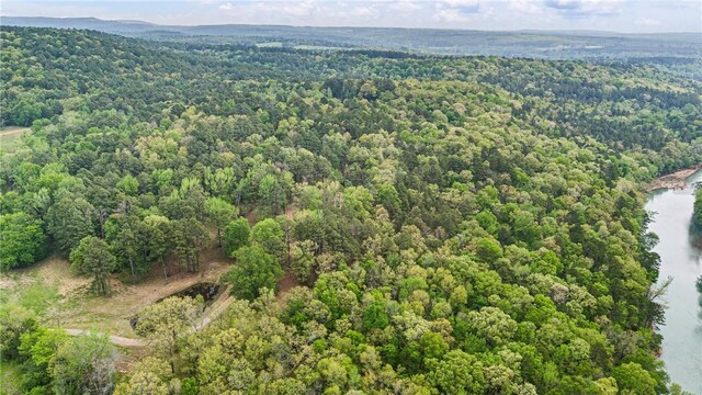 907 Smoke Tree Rd, Dover, AR 72837 - photo 51