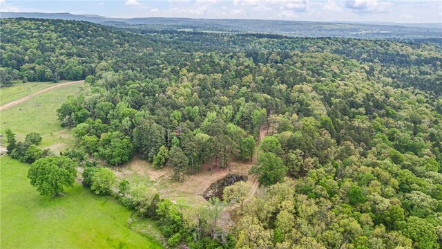 907 Smoke Tree Rd, Dover, AR 72837 - photo 52