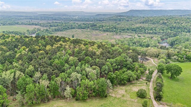 907 Smoke Tree Rd, Dover, AR 72837 - photo 54