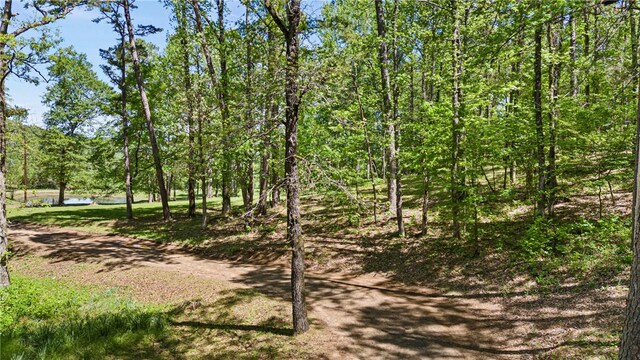 907 Smoke Tree Rd, Dover, AR 72837 - photo 49