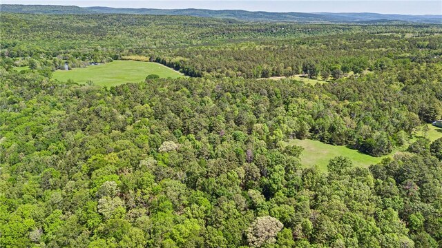 907 Smoke Tree Rd, Dover, AR 72837 - photo 56
