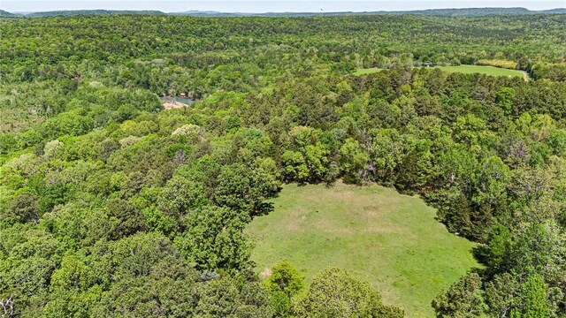 907 Smoke Tree Rd, Dover, AR 72837 - photo 57