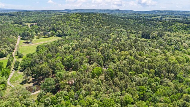 907 Smoke Tree Rd, Dover, AR 72837 - photo 58
