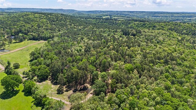 907 Smoke Tree Rd, Dover, AR 72837 - photo 59