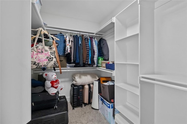 view of spacious closet