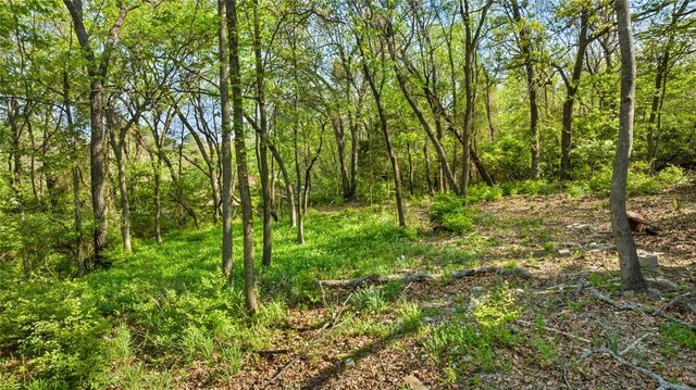 426 W Lawson St, Fayetteville, AR 72703 - photo 33