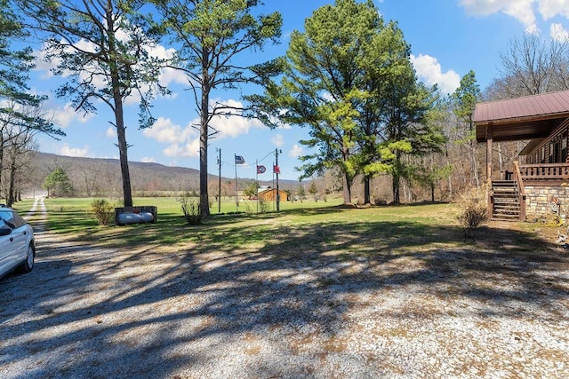 view of yard featuring stairway