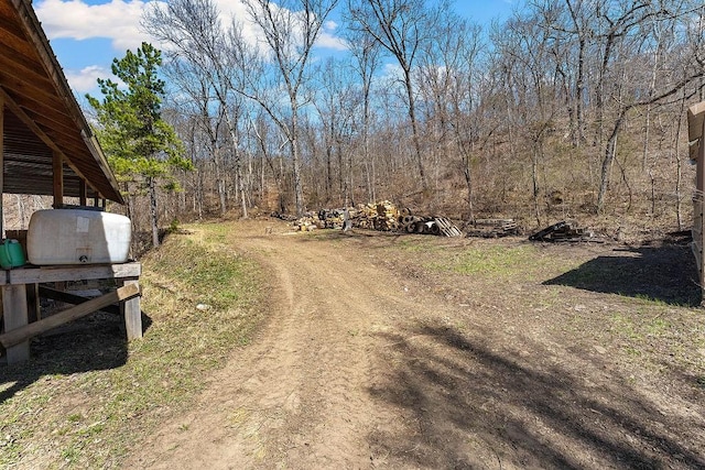 view of road with driveway