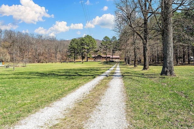 view of road with driveway and a forest view