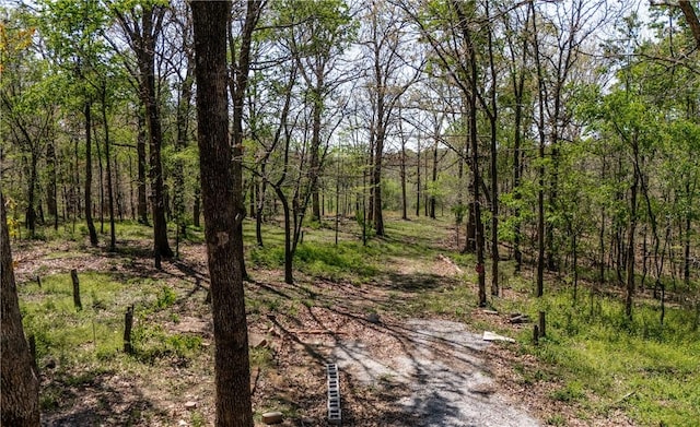 view of landscape featuring a wooded view
