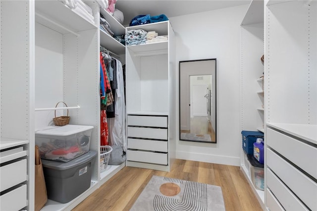 walk in closet featuring light wood-style floors
