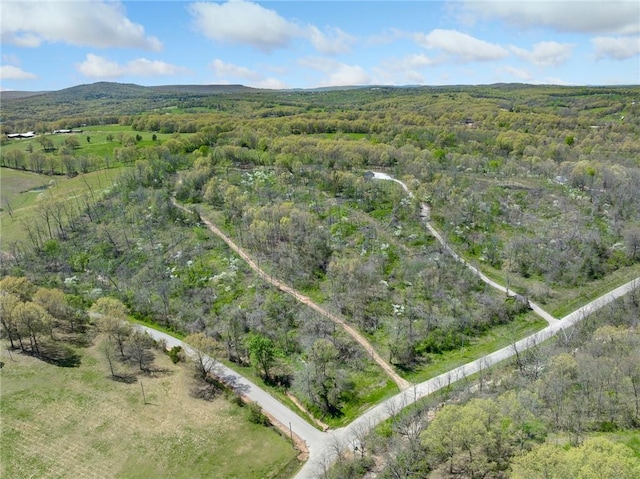 aerial view with a wooded view