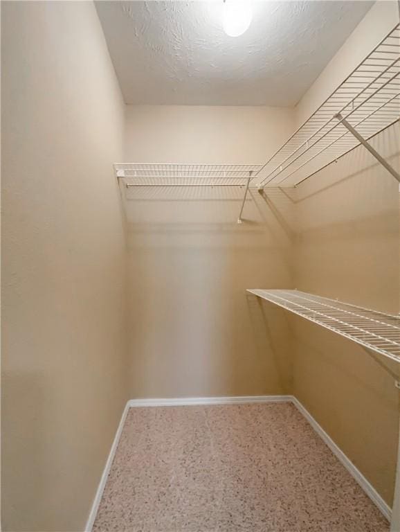view of walk in closet