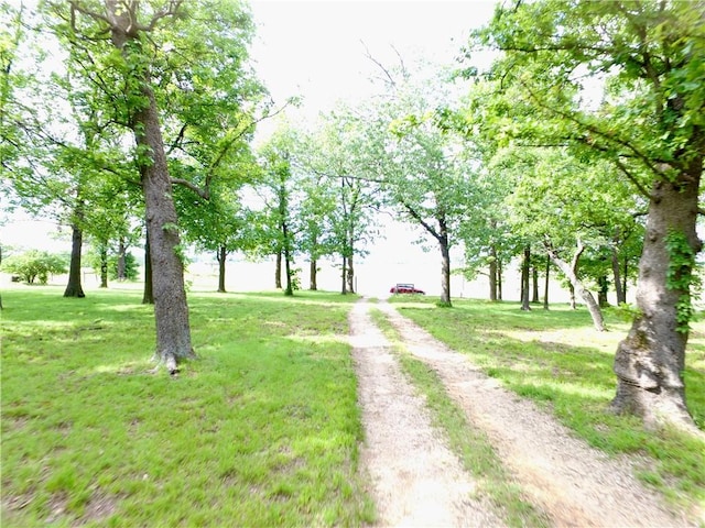 6545 Georges Ave, Springdale, AR 72762