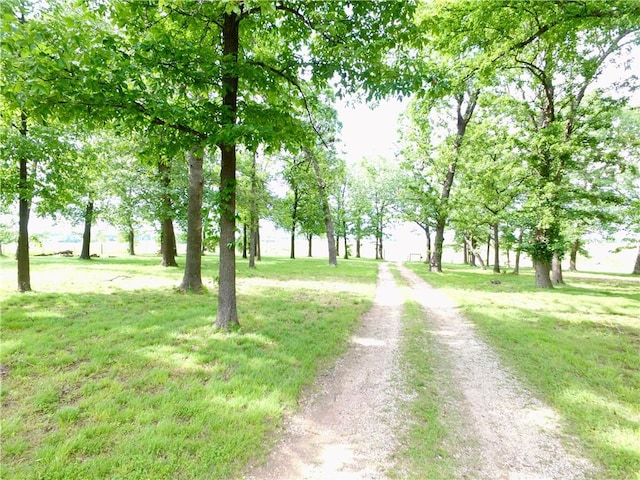 6545 Georges Ave, Springdale, AR 72762