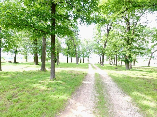 6545 Georges Ave, Springdale, AR 72762