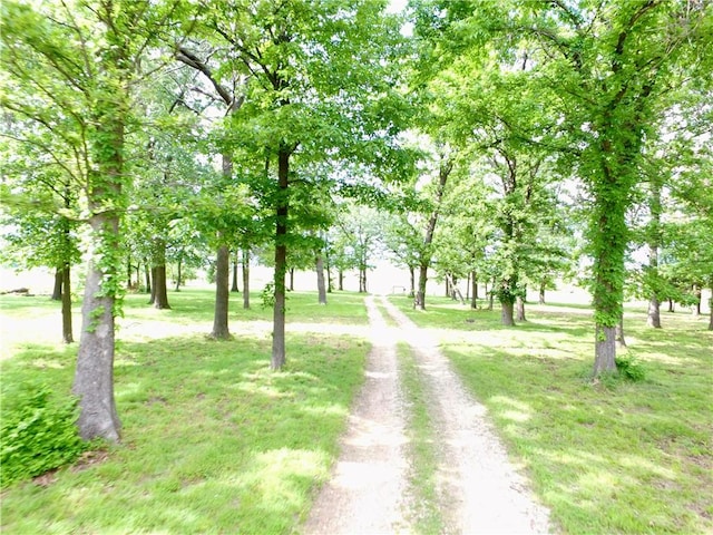 6545 Georges Ave, Springdale, AR 72762