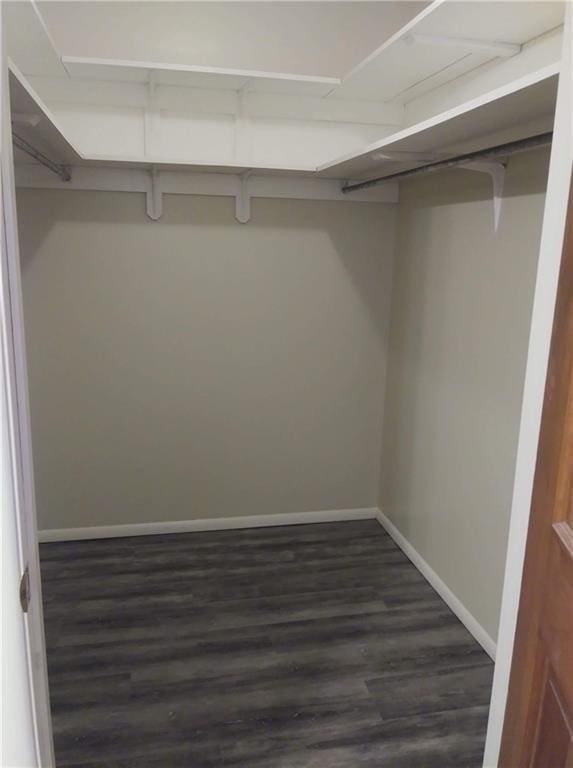 walk in closet with dark wood-style floors