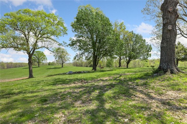 5303 Hickory Hills Ln, Harrison, AR 72601 - photo 50