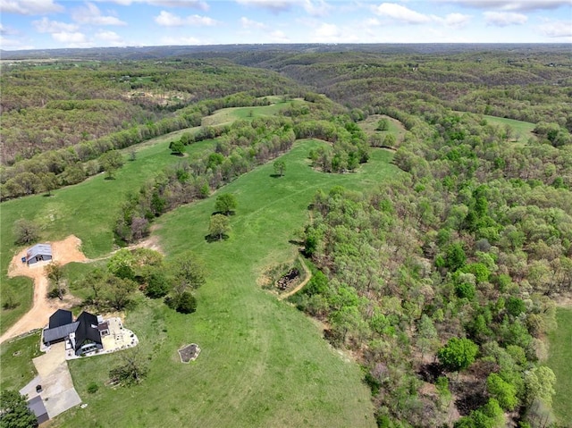 5303 Hickory Hills Ln, Harrison, AR 72601 - photo 51
