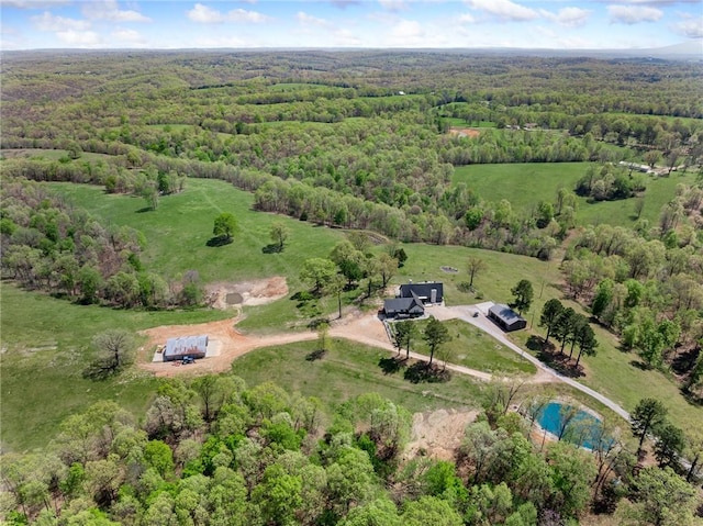 5303 Hickory Hills Ln, Harrison, AR 72601 - photo 52