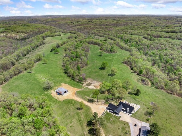 5303 Hickory Hills Ln, Harrison, AR 72601 - photo 53