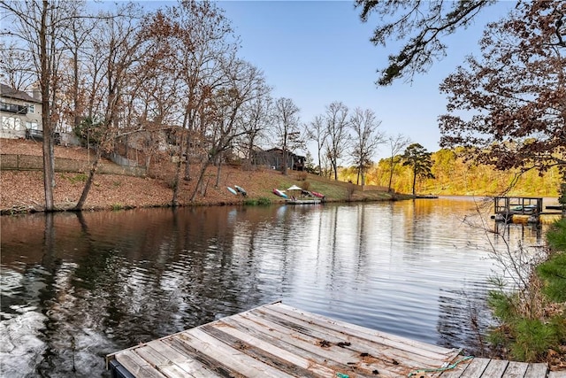 dock area with a water view
