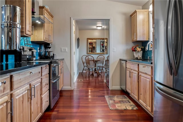 kitchen with backsplash, appliances with stainless steel finishes, a sink, and dark wood-style floors
