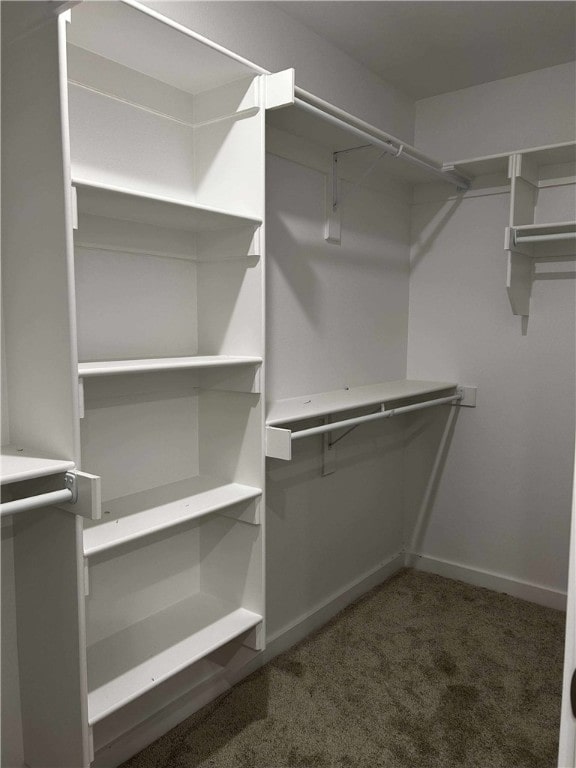 34 Brierfield Ln, Bella Vista, AR 72714 - spacious closet featuring carpet