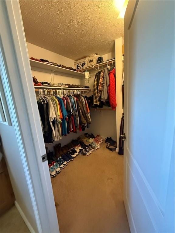 1306 Sunset Blvd, Berryville, AR 72616 - walk in closet featuring carpet flooring