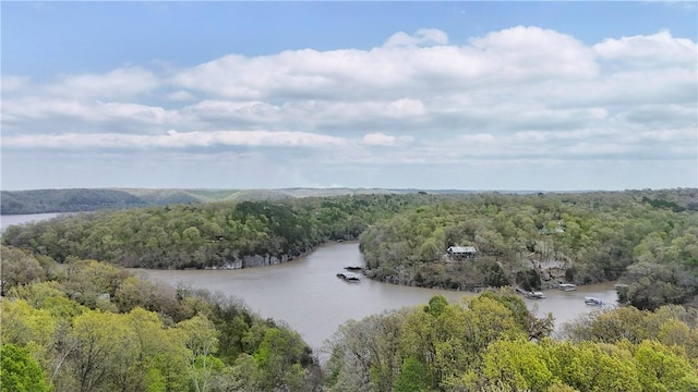 14689 Frisco Springs Rd, Lowell, AR 72745 - drone / aerial view of a forest and a nearby body of water