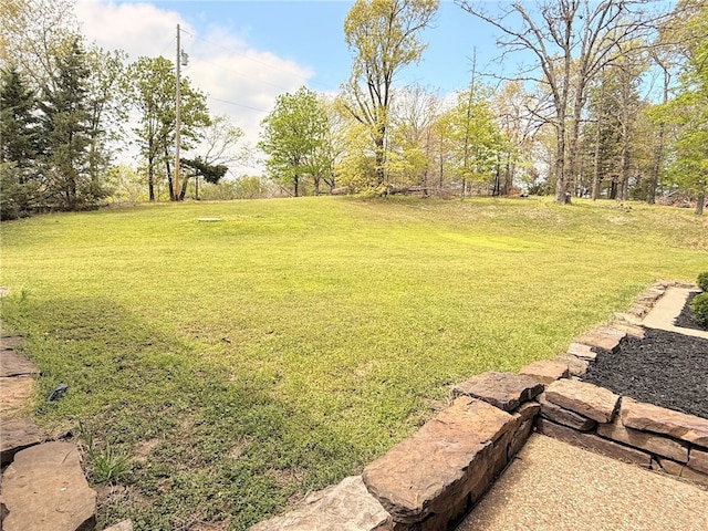 14689 Frisco Springs Rd, Lowell, AR 72745 - view of green lawn