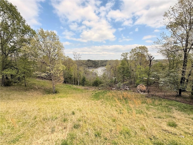 view of landscape