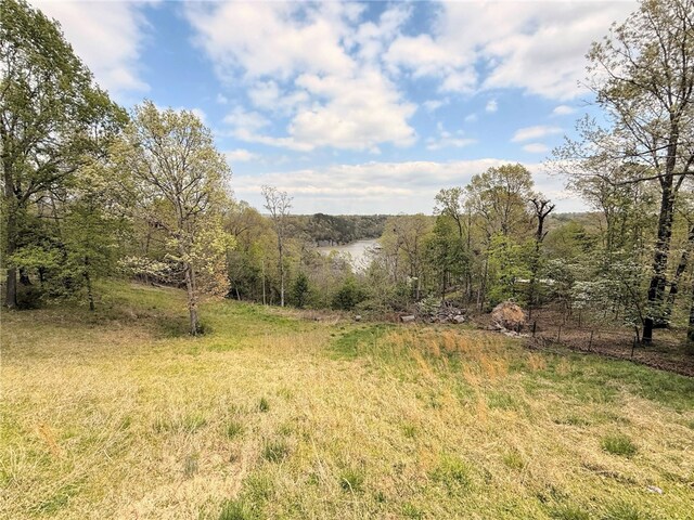 14689 Frisco Springs Rd, Lowell, AR 72745 - view of undeveloped land