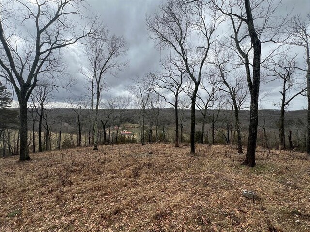759 Jefferson Ln, Pineville, MO 64856
