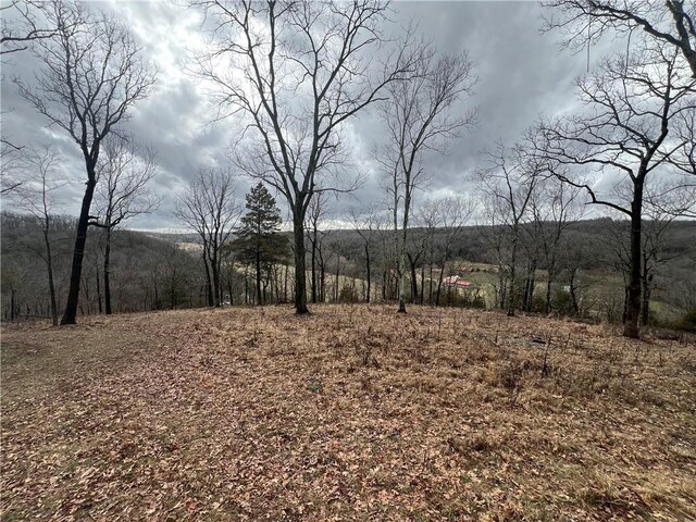 759 Jefferson Ln, Pineville, MO 64856