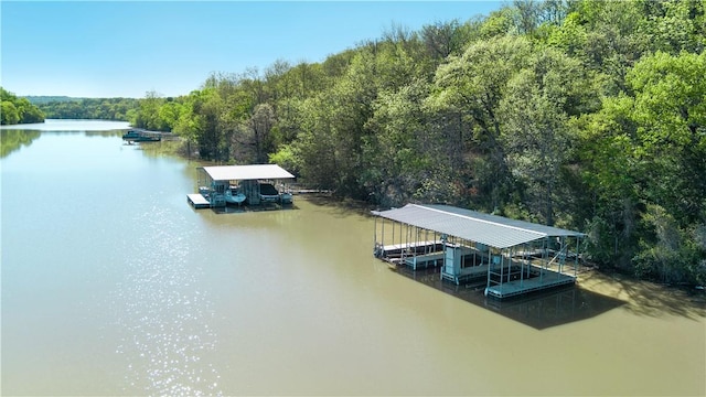 21732 Chinquapin Dr, Springdale, AR 72764 - photo 5